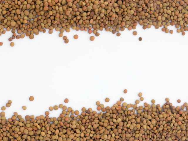 Isolated close up lentils sign for title.