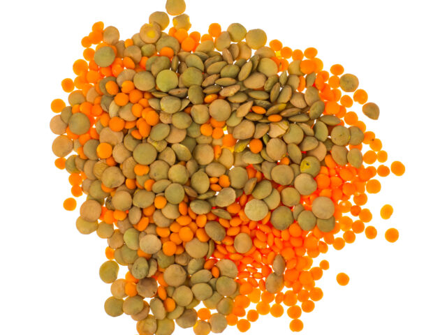 Different varieties of lentils in glass. Studio photo