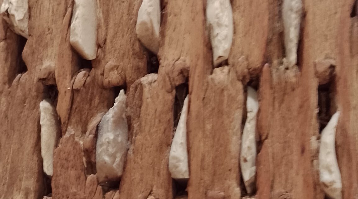 Neujahrsausblick nach dem US-Überfall auf Venezuela